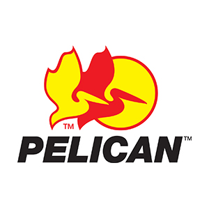Pelican